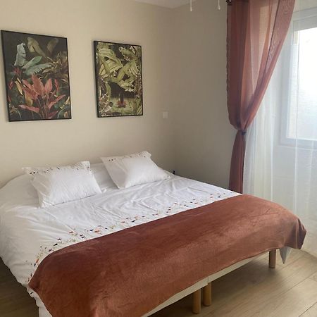 Appartement T2 Spacieux Et Equipe Mions المظهر الخارجي الصورة